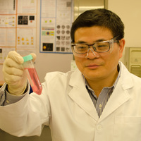 Professor Jianfang WANG